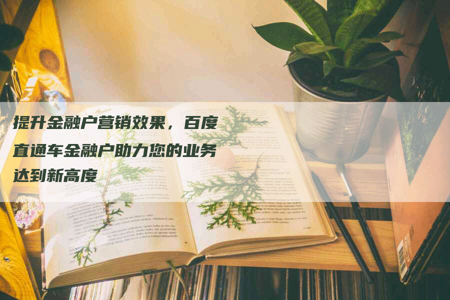 提升金融户营销效果，百度直通车金融户助力您的业务达到新高度