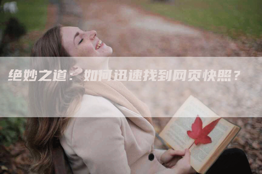 绝妙之道：如何迅速找到网页快照？