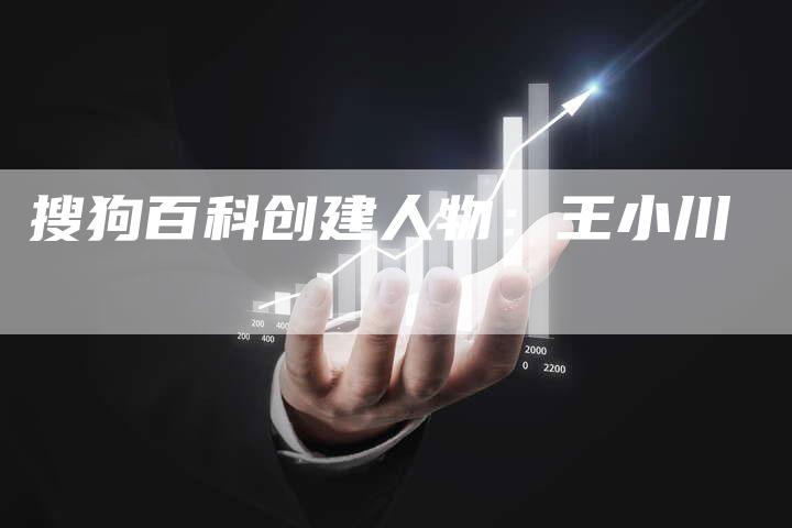 搜狗百科创建人物：王小川