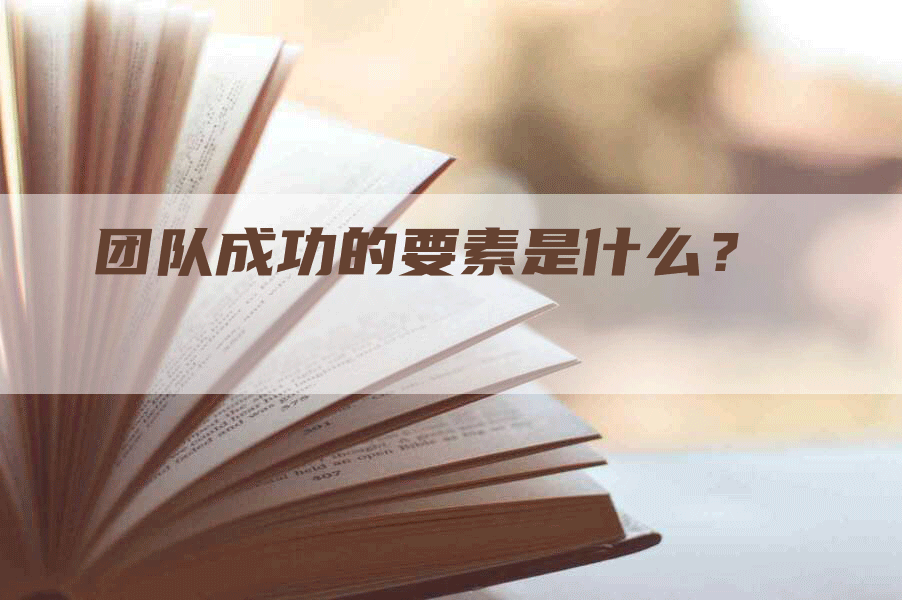 团队成功的要素是什么？